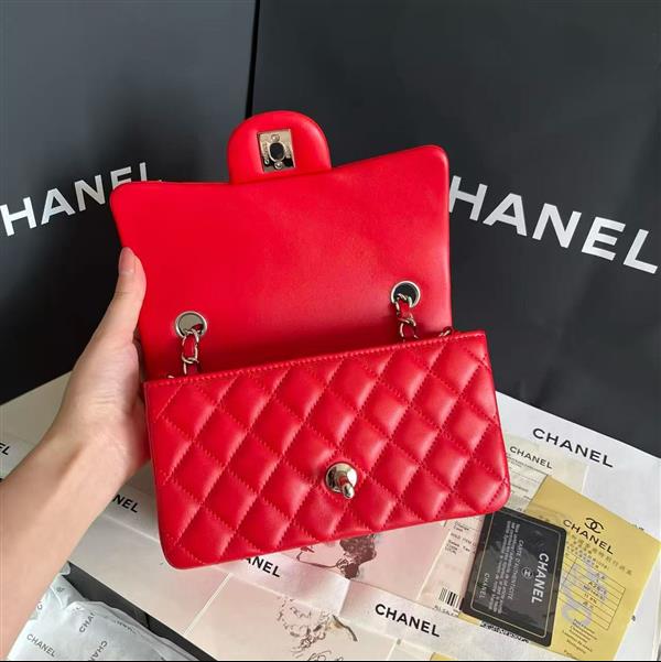 2026127205646769 380